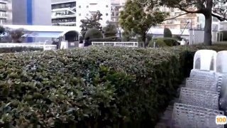 其他货币资金包括哪些内容内射寿光小淫娃！！